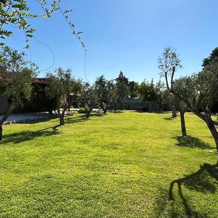 B&B Terra Cesarea Santa Cesarea Terme Zewnętrze zdjęcie