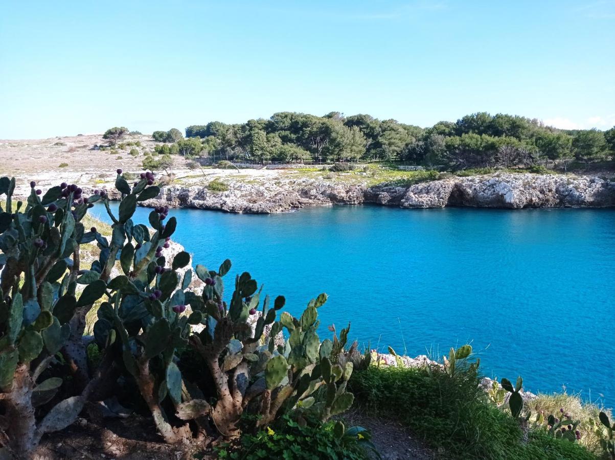 B&B Terra Cesarea Santa Cesarea Terme Zewnętrze zdjęcie